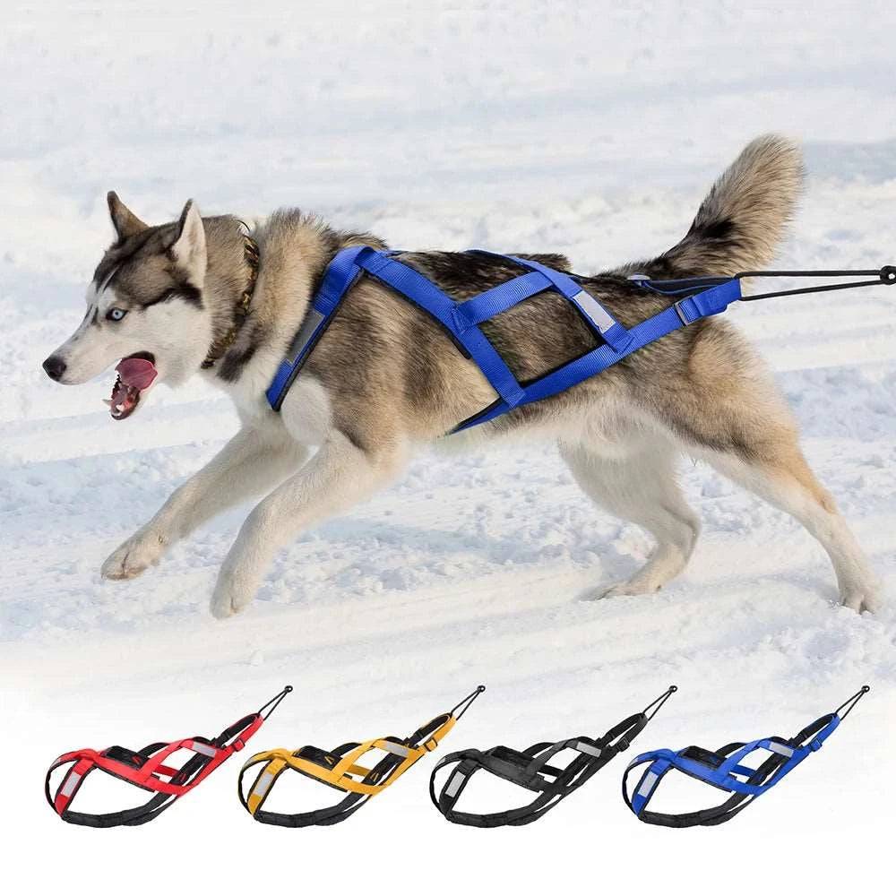 Black Dog Sledding Harness Reflective Pet Skijoring Harness Waterproof Big Large Dogs Weight Pulling Vest For Pet Training