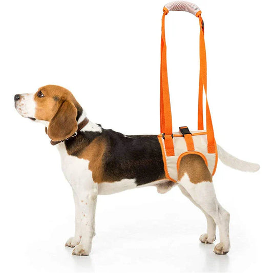 Adjustable Dog Sling Hip Support & Rehabilitation