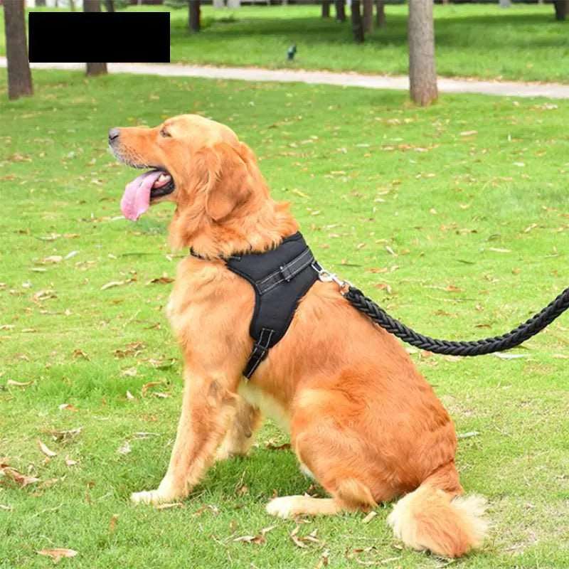 Black Pet Dogs Adjustable Harness Small and Large Dog Harness Vest