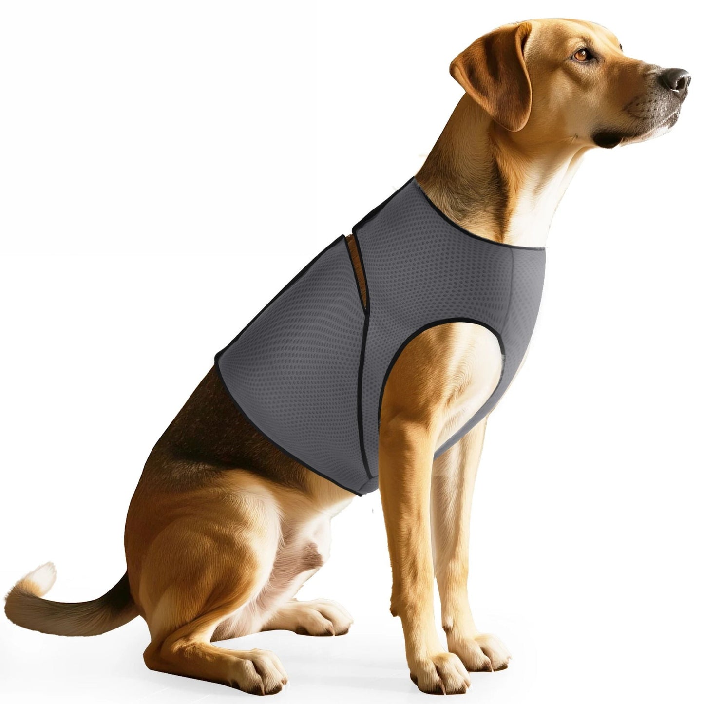 Gray Dog Anti-Anxiety Jacket Calming Coat for Thunder Relief