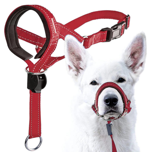 Red Adjustable Nylon Anti-Bark Dog Muzzle & Head Halter