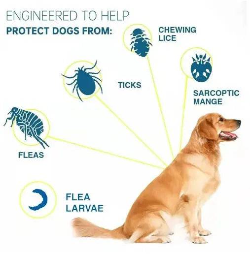 Seresto Large Dog Flea and Tick Collar, 8-Month Flea and Tick Collar for Large Dogs above 18lbs 70cm