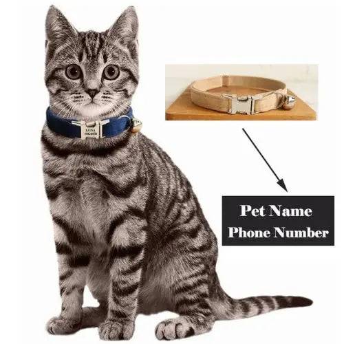 Beige Cat Small Dog Collar with Bell Personalized Engraving ID Tag Nameplate Kitten Collars Necklace Small Dogs Puppy Bulldog Chihuahua Yorshire