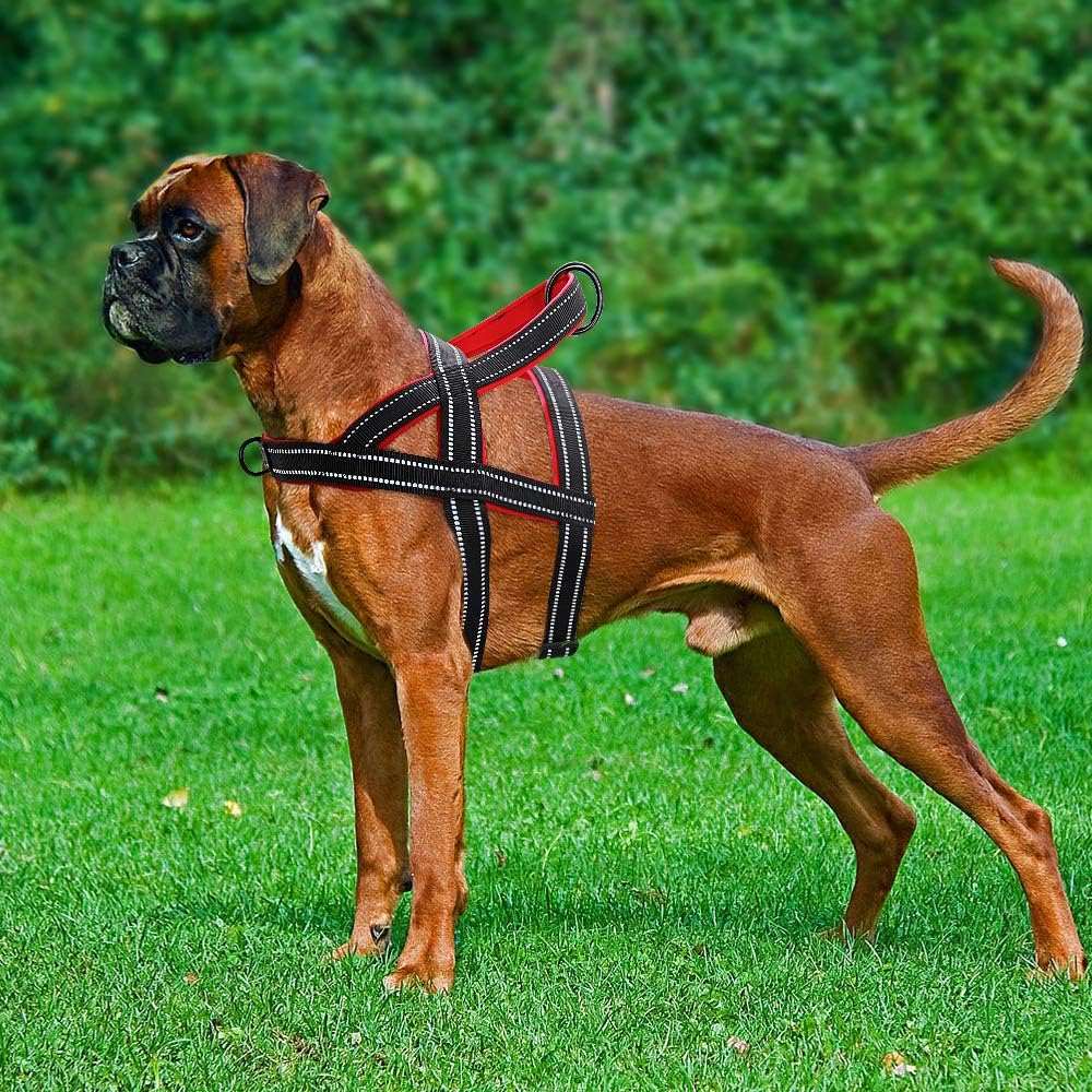 Black No Pull Nylon Dog Harness Reflective Adjustable Dog Harness Vest For Medium Large Dogs Walking Training Belt