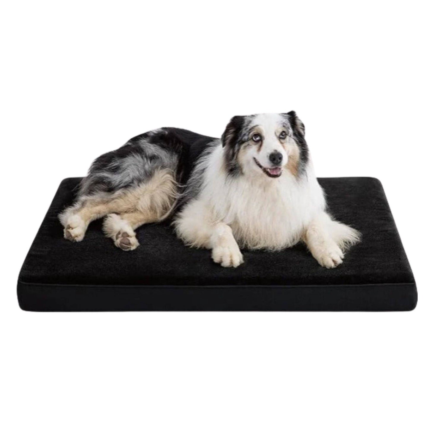 Black Orthopedic Waterproof Dog Bed with Removable Washable Cover and Nonskid Bottom for Crate, Memory Foam XL Size 41" × 29" × 3.5"