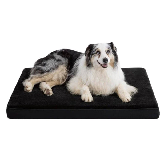 Black Orthopedic Waterproof Dog Bed with Removable Washable Cover and Nonskid Bottom for Crate, Memory Foam XL Size 41" × 29" × 3.5"