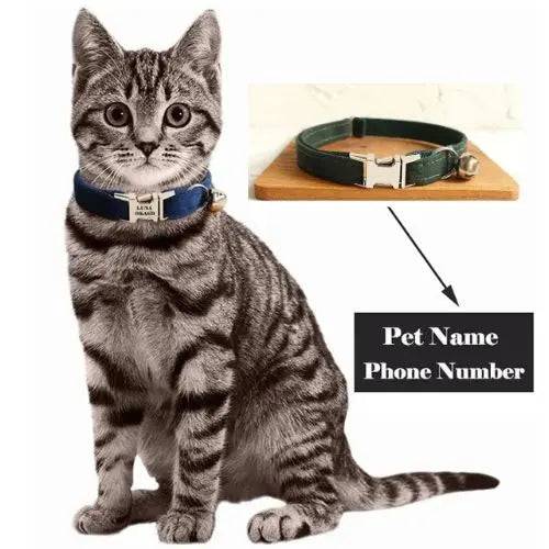 Dark Green Cat Small Dog Collar with Bell Personalized Engraving ID Tag Nameplate Kitten Collars Necklace Small Dogs Puppy Bulldog Chihuahua Yorshire