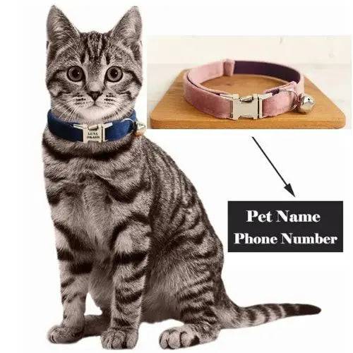 Light Pink Cat Small Dog Collar with Bell Personalized Engraving ID Tag Nameplate Kitten Collars Necklace Small Dogs Puppy Bulldog Chihuahua Yorshire