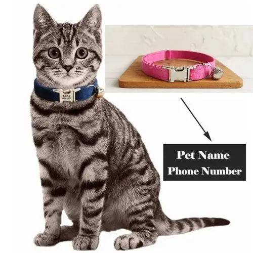 Pink Cat Small Dog Collar with Bell Personalized Engraving ID Tag Nameplate Kitten Collars Necklace Small Dogs Puppy Bulldog Chihuahua Yorshire