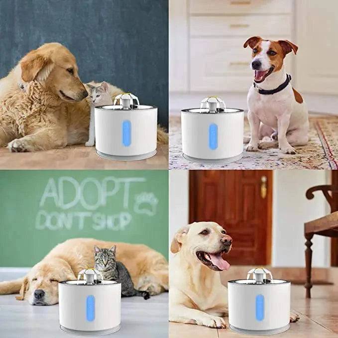 Steel Cat Water Fountain Dog Drink Bowl Active Carbon Filter Automatic Pet Drinking Electric Dispenser Bowls USB Powered